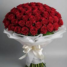 Букет 101 Красная роза Блэк Мэджик в Ганусово