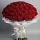 Букет 101 Красная роза Блэк Мэджик в Ганусово