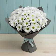 Букет цветов из:  Хризантемы в Ганусово