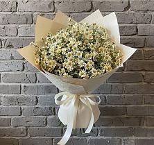 Букет цветов из:  Ромашки в Ганусово