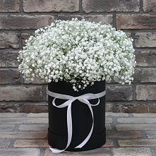 Цветочная композиция из Гипсофила в шляпной коробке в Ганусово