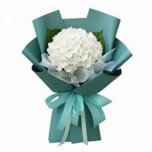 Букет цветов из:  Гортензия в Ганусово